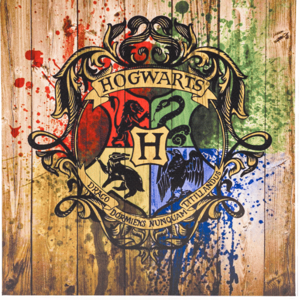 Porta Rolha do Harry Potter - Imagem 8